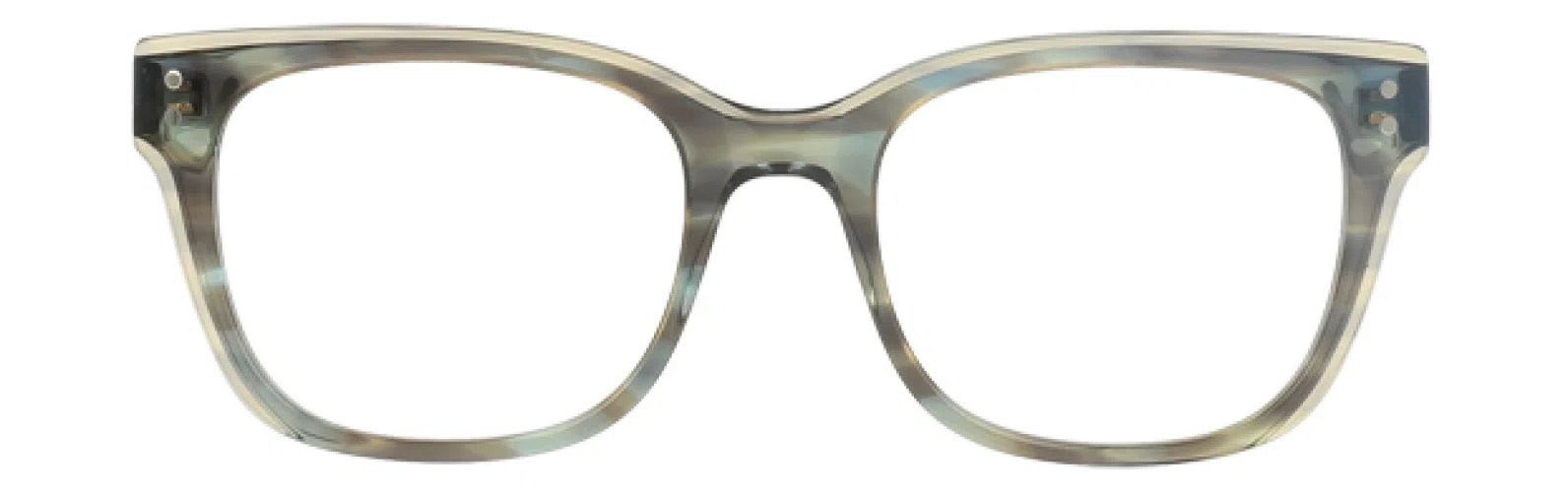 Trina Turk TTPETA Eyeglasses - view 8
